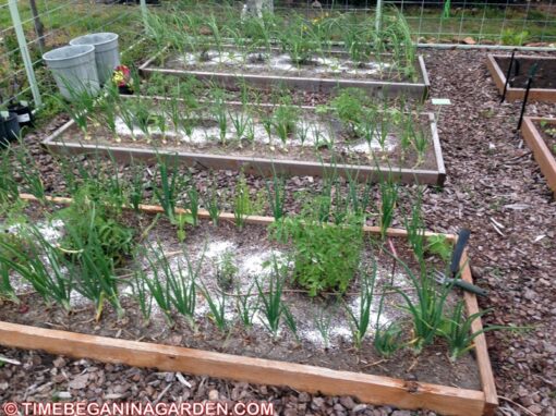 7 Surprising Benefits of Composting with Eggshells