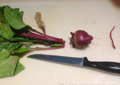 Pickled Beets Recipe | Live Love Garden Pickled Beets Recipe Step One