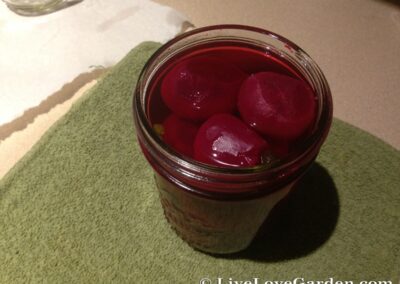 Pickled Beets Recipe | Live Love Garden Making Pickled Beets Placing in jar after spicing