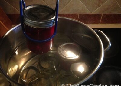 Pickled Beets Recipe | Live Love Garden Making Pickled Beets Hot water bath after placing in jar
