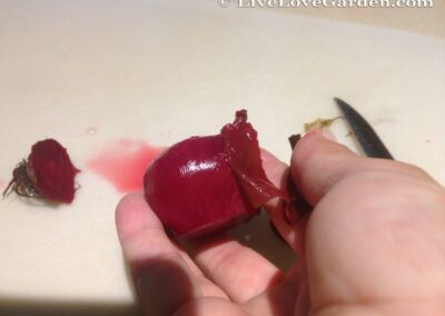 Pickled Beets Recipe | Live Love Garden Making Pickled Beets Peeling skin off beets