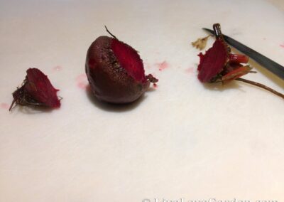 Pickled Beets Recipe | Live Love Garden Making Pickled Beets Trimming up to remove skin