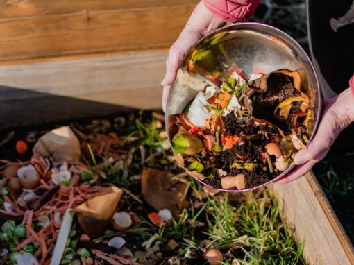 How to Compost at Home Today: The Ultimate Guide 7 Powerful Reasons and What Not to Compost