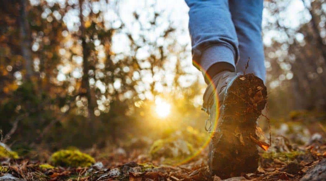 7 Daily Wellness Habits that could change your life after 30 Person Walking through woods.