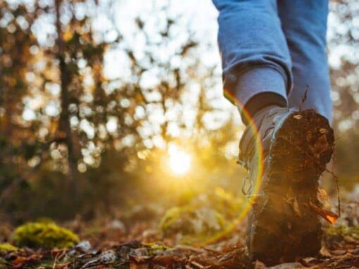 7 Daily Wellness Habits That Can Transform Your Life After 30