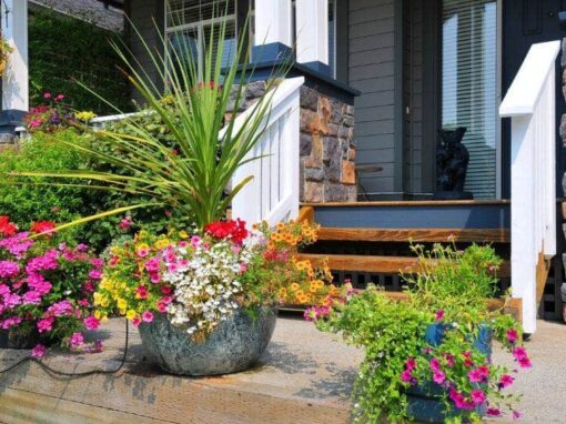 10 Pollinator Plants for Small Spaces: A Colorful Guide for Every Balcony and Patio