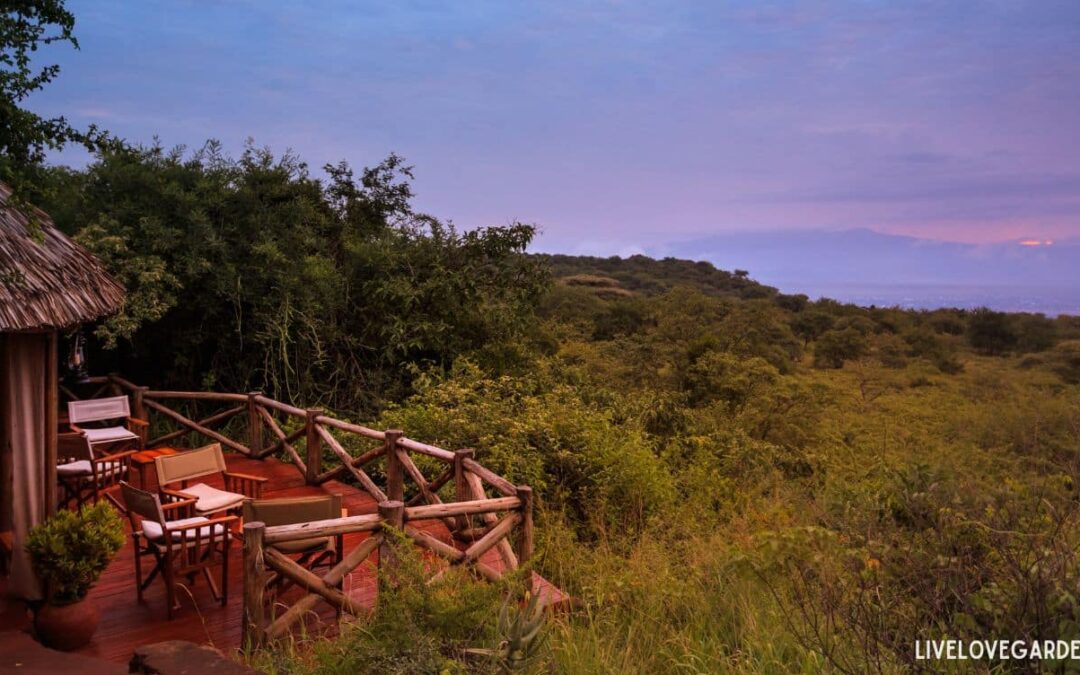 Digital Detox Hike-In Lodges