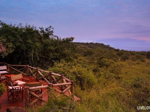 Digital Detox Hike-In Lodges: The New Frontier in Mindful Adventure