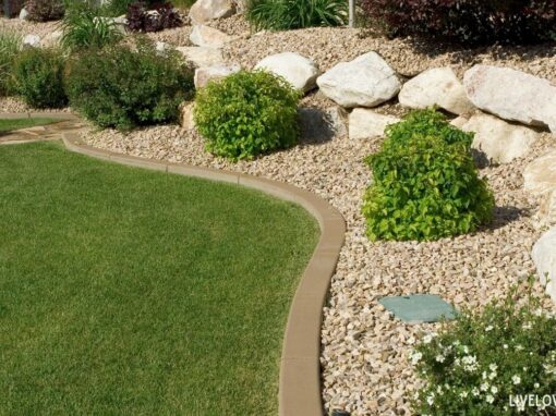 Top 5 Hardscaping Materials for Water Conservation
