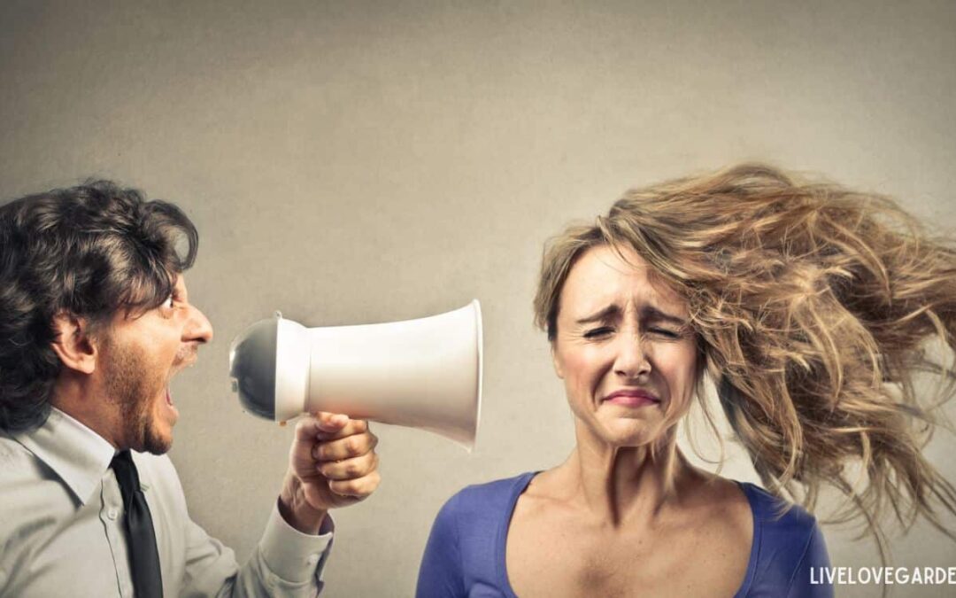 Navigating Political Differences Angry Shouting