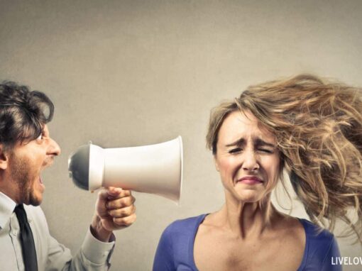 Bridging Political Differences in American Families and Friendships