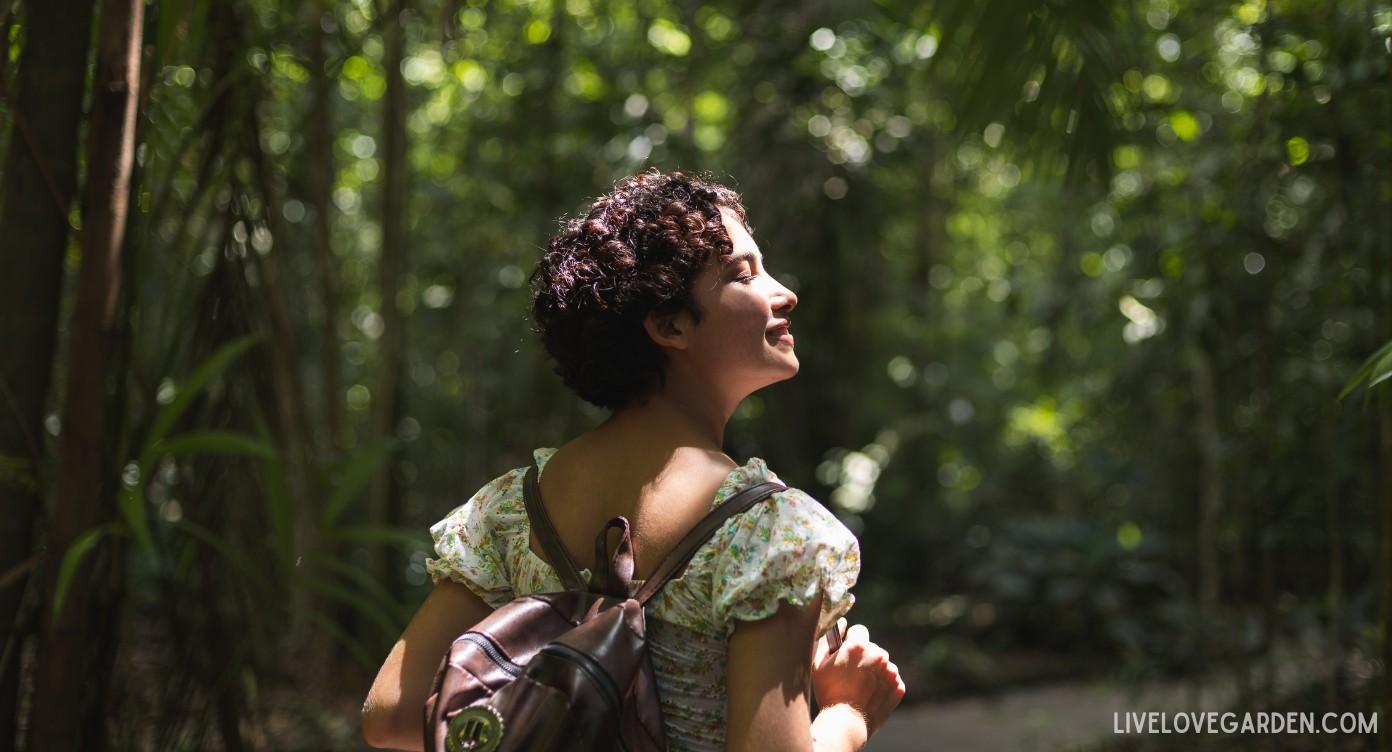Quiet Living Lifestyle Woman walking alone in Forest