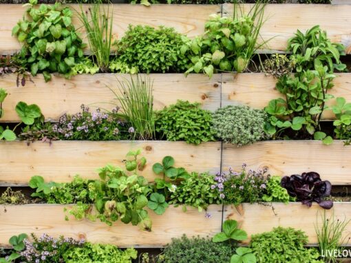 Vertical Gardening: Grow Up, Not Out for Stunning Summer Spaces