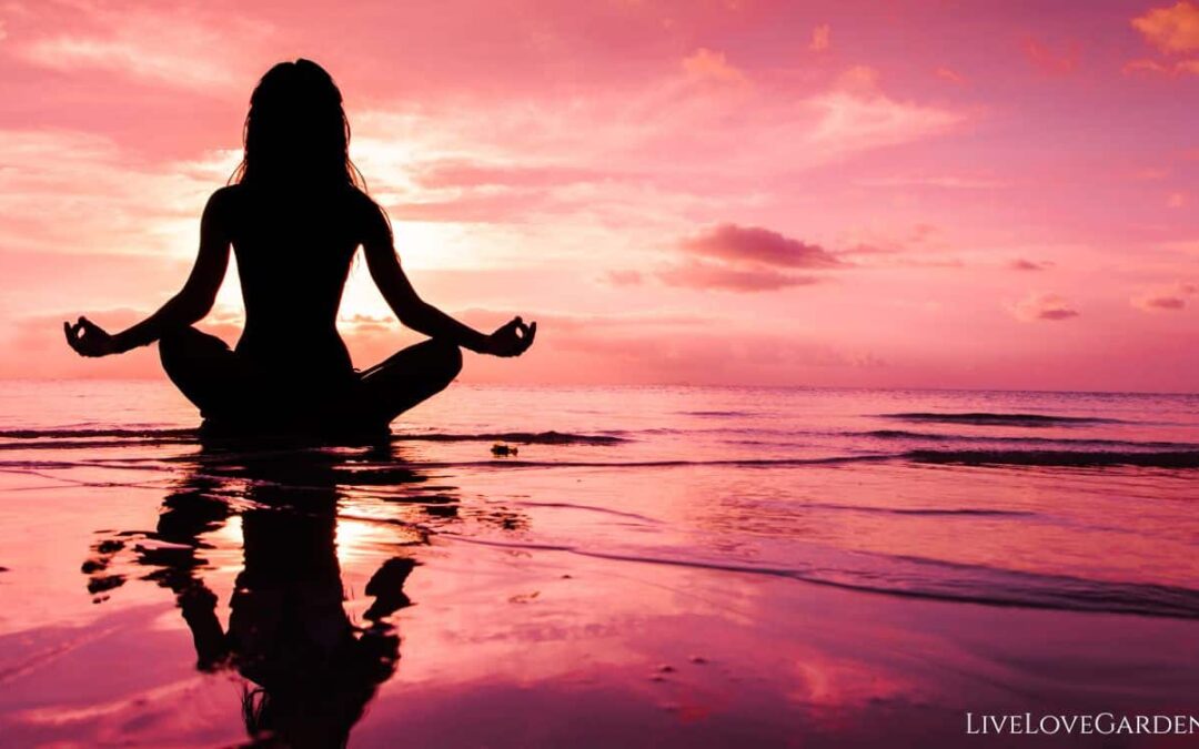 Nervous System Health Grounding Ocean Meditation