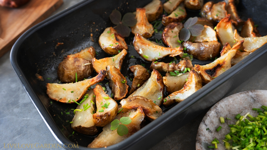 Bright yellow sunchoke flowers and roasted sunchoke slices on a baking sheet, ready to serve.”