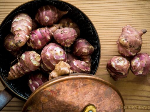 Sunchoke Recipes: 9 Delicious and Easy Ways to Cook with Sunchokes
