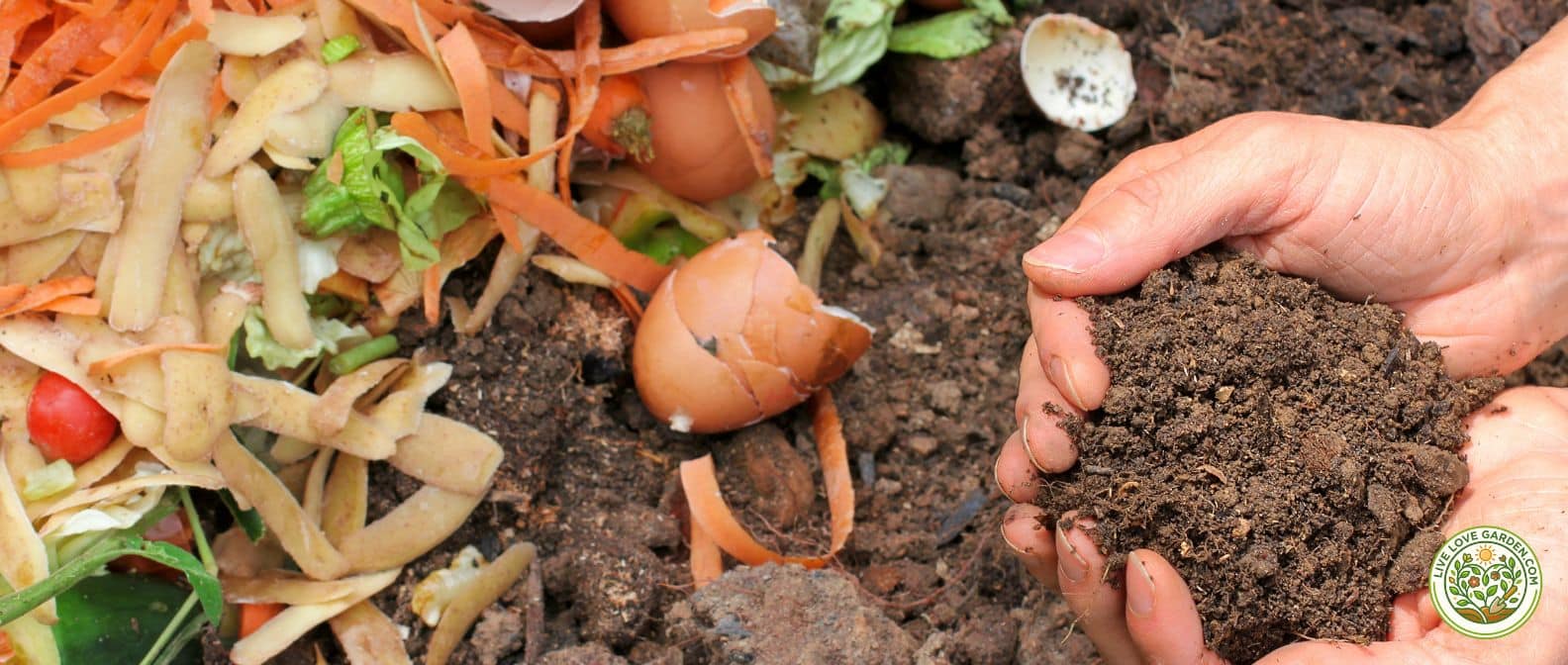 Spring Planting Guide Composting Kitchen Scraps Spring Planting Guide Composting Kitchen Scraps