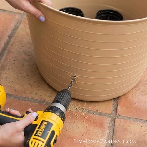 DIY Self-watering gardening container Step 1