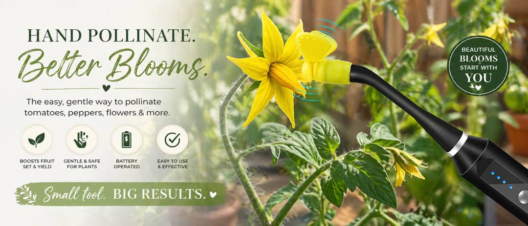 Pollinator Tool for manual pollination