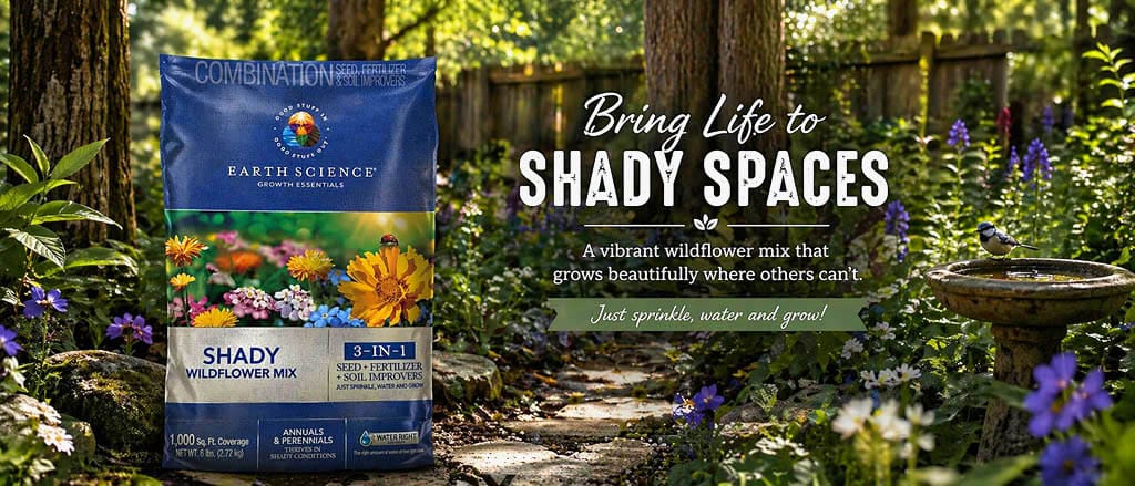 Shade wildflower mix