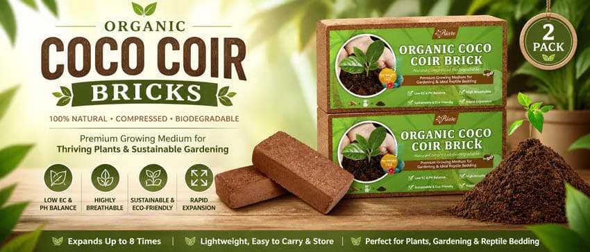 Organic Coir bricks for amending soil