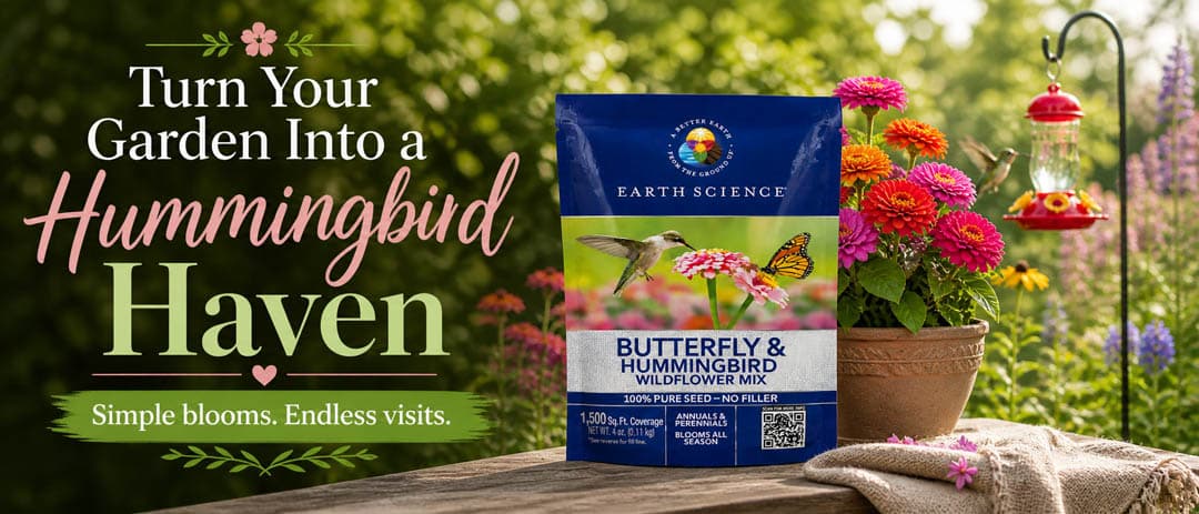 Hummingbird and pollinator seed mix